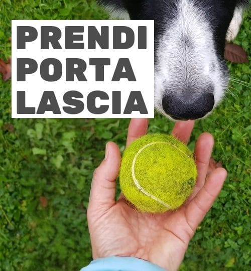Animal Yes_Prendi Porta Lascia_MiTi_k